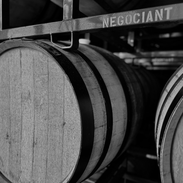 The Barrel Club