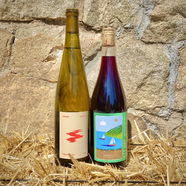 Cub Club Monthly Wine Clubs - Main image