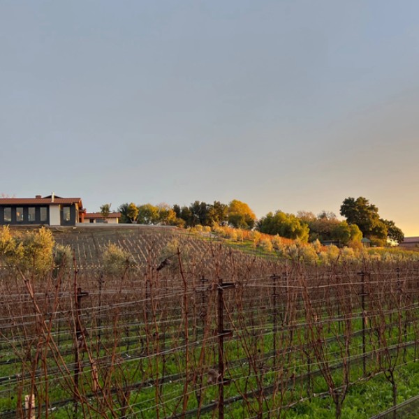 Calivence Wine Club - Main image