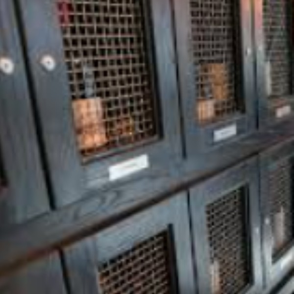 The Treasury Locker - Image 2