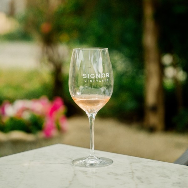 Town And Country - White | Rose - Image 3