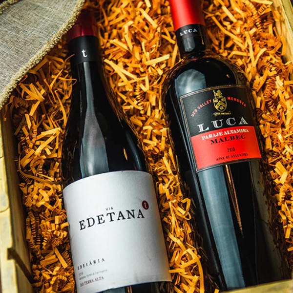 Wine Adventure